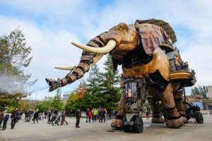 Se balader à dos d’éléphant...