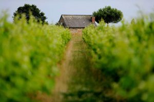 © Jean-Sébastien Evrard