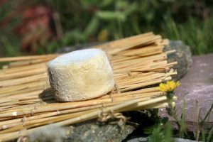 Crottin de Chavignol