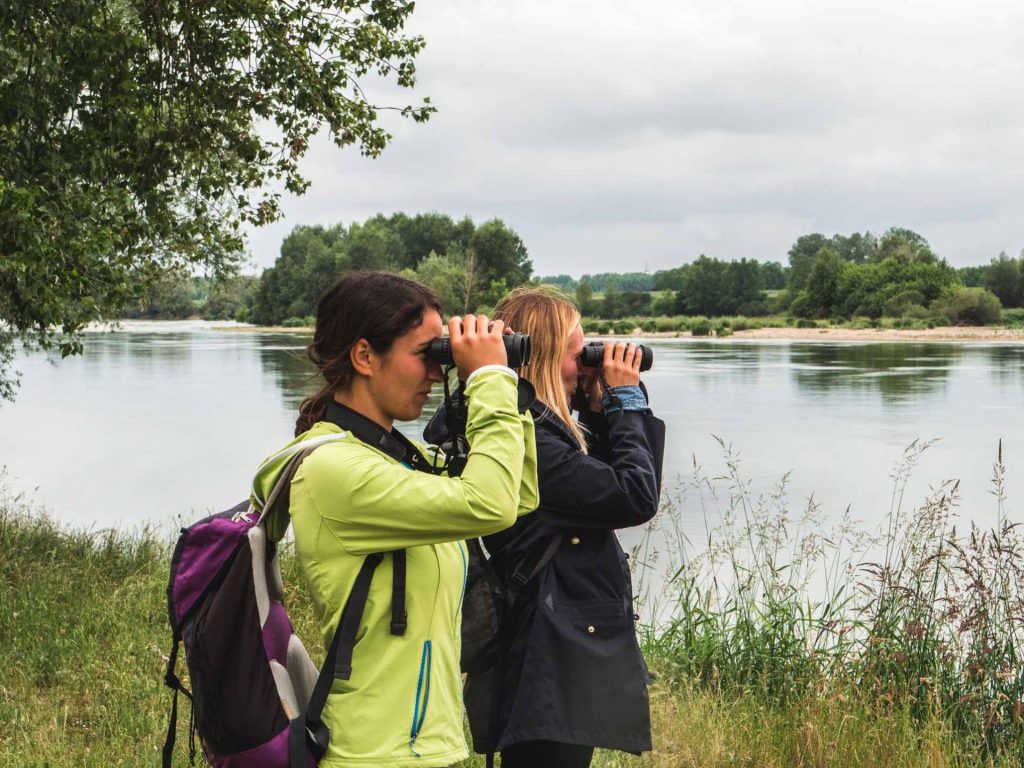 Observation à St Dyé © World Else