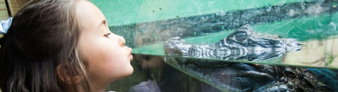 Grand Aquarium de Touraine