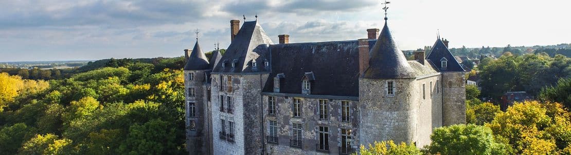Château de Saint-Brisson-sur-Loire