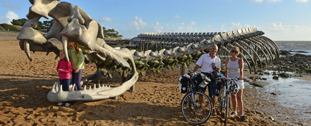 cyclistes au bord de l'océan