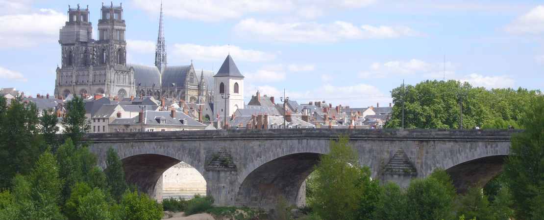 La ville d'Orléans et sa cathédrale