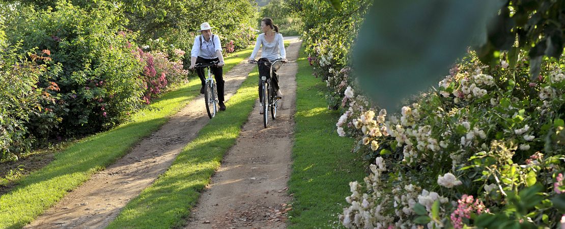 Couple de cyclistes dans un jardin