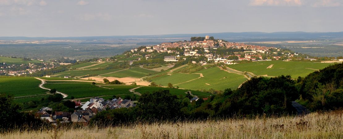 Vue sur la colline avec la ville de Sancerre au sommet