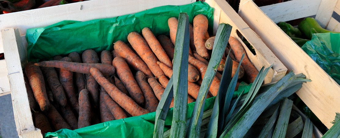 Cagettes de carottes