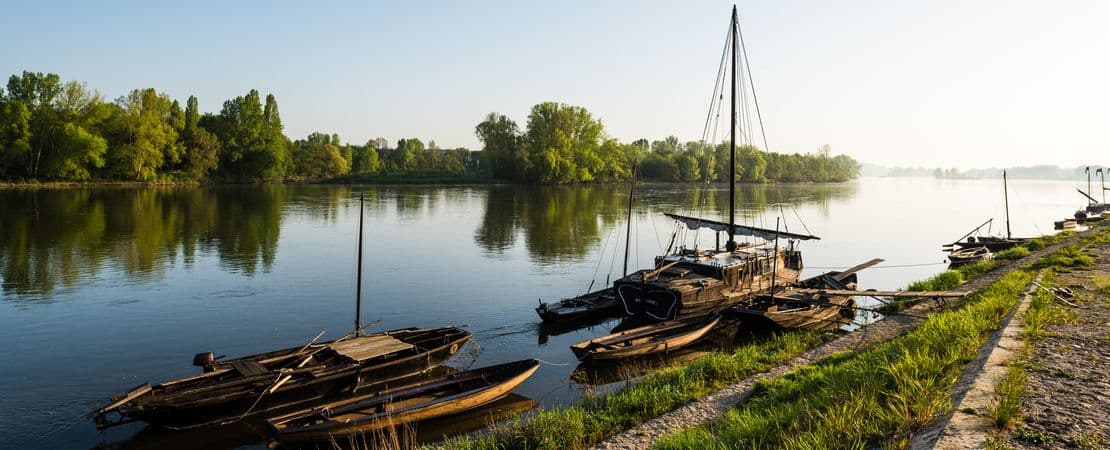 Vue sur des bateaux sur la Loire
