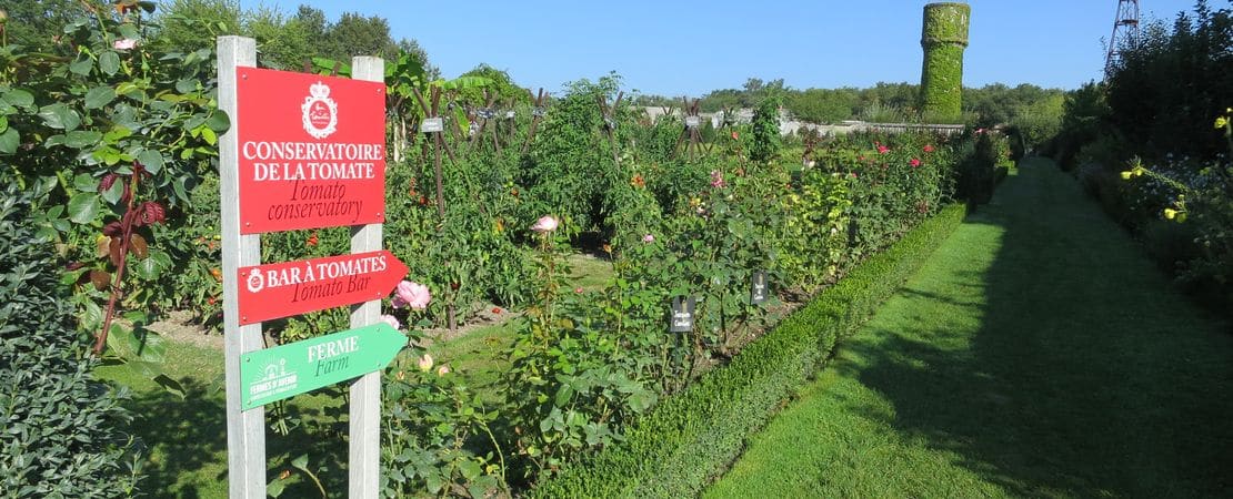 Photo du jardin de tomates du château