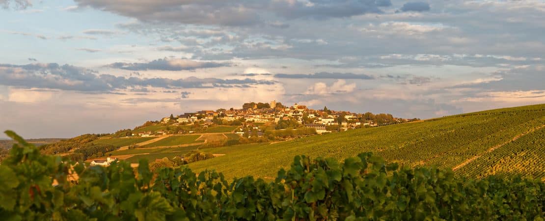 Vue depuis les vignes sur la colline et le village de Sancerre