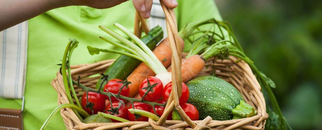 Panier de légumes