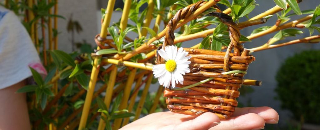 Panier tresser