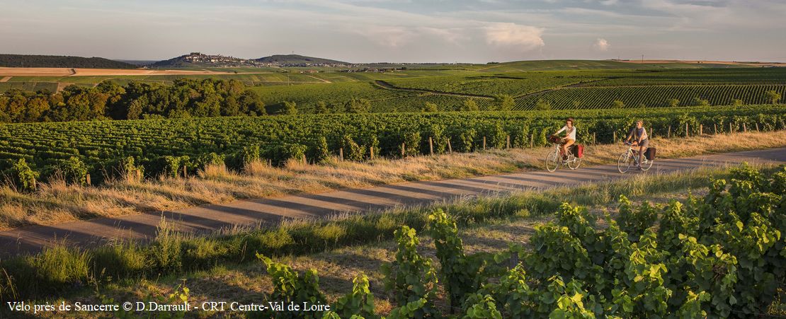 cyclistes dans les vignobles