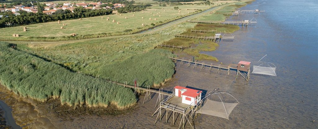 Pêcheries © Region Pays de la Loire - M. Gross