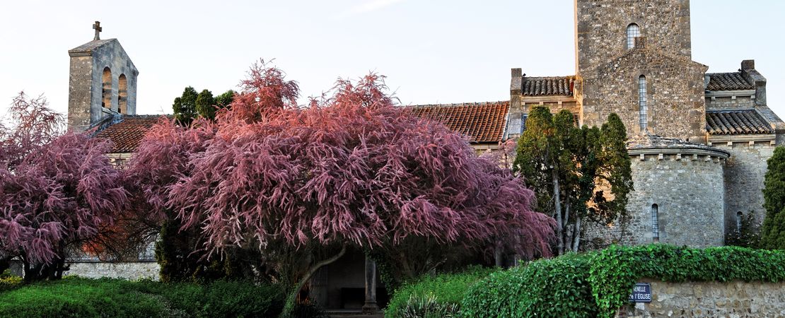 Vue sur l'abbaye