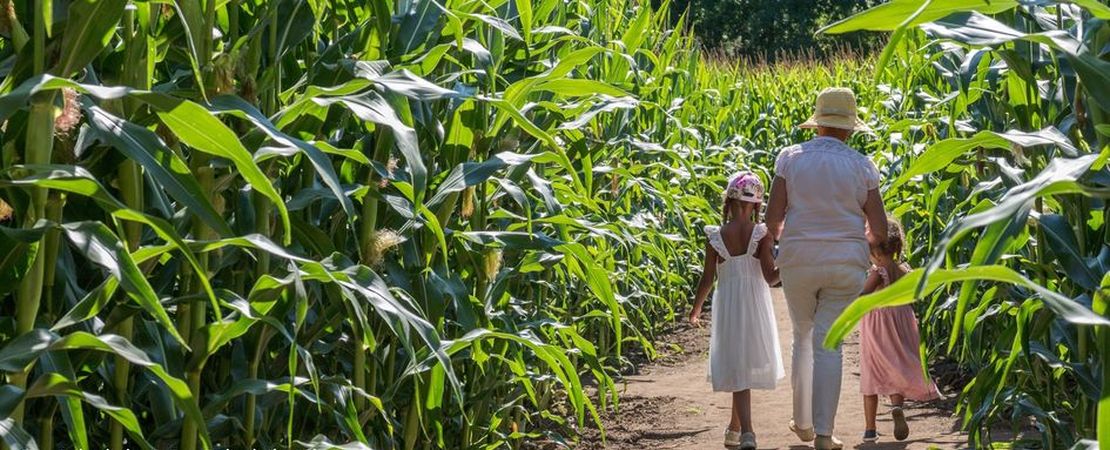enfants dans le labyrinthe