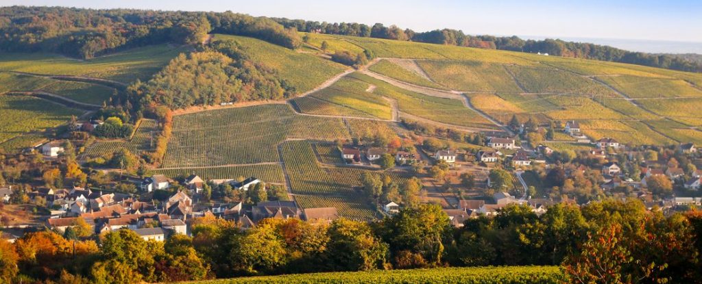 Vignoble de Sancerre