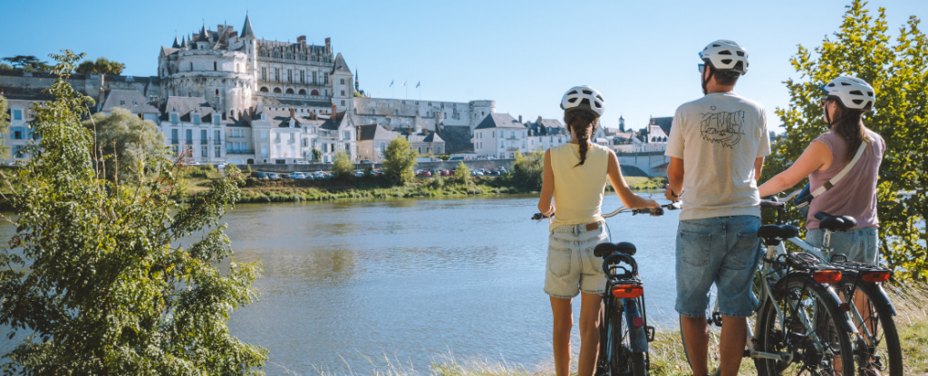 Vue du Château d'Amboise