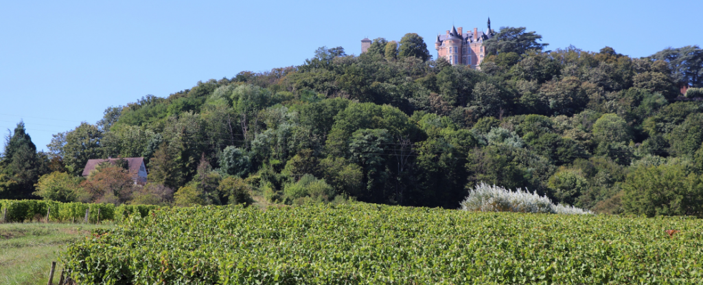 Château de Sancerre