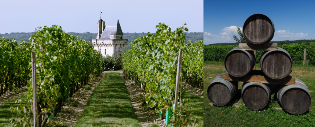 vignobles